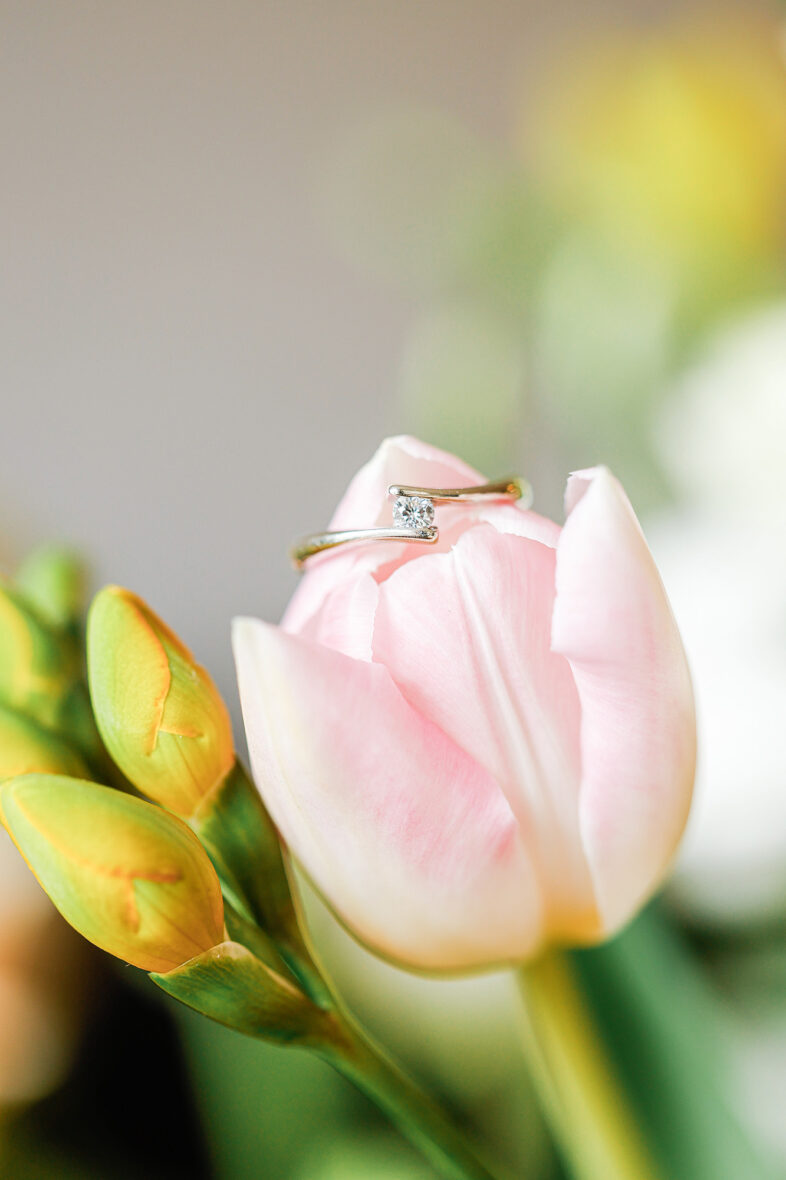 Heiratsantrag im Frühling - Verlobungsring auf Tulpenblüte, Verlobung- und Paarshooting - Fotografin Andrea Klimenko